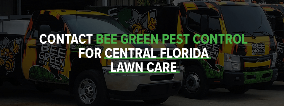 Contact Bee Green Pest Control For Central Florida Lawn Care